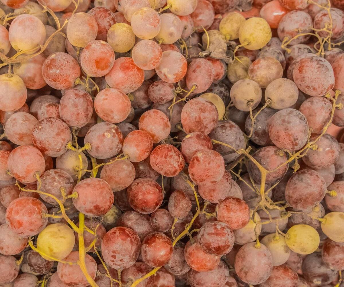 Domaine du vins et spiritueux: les défis environnementaux