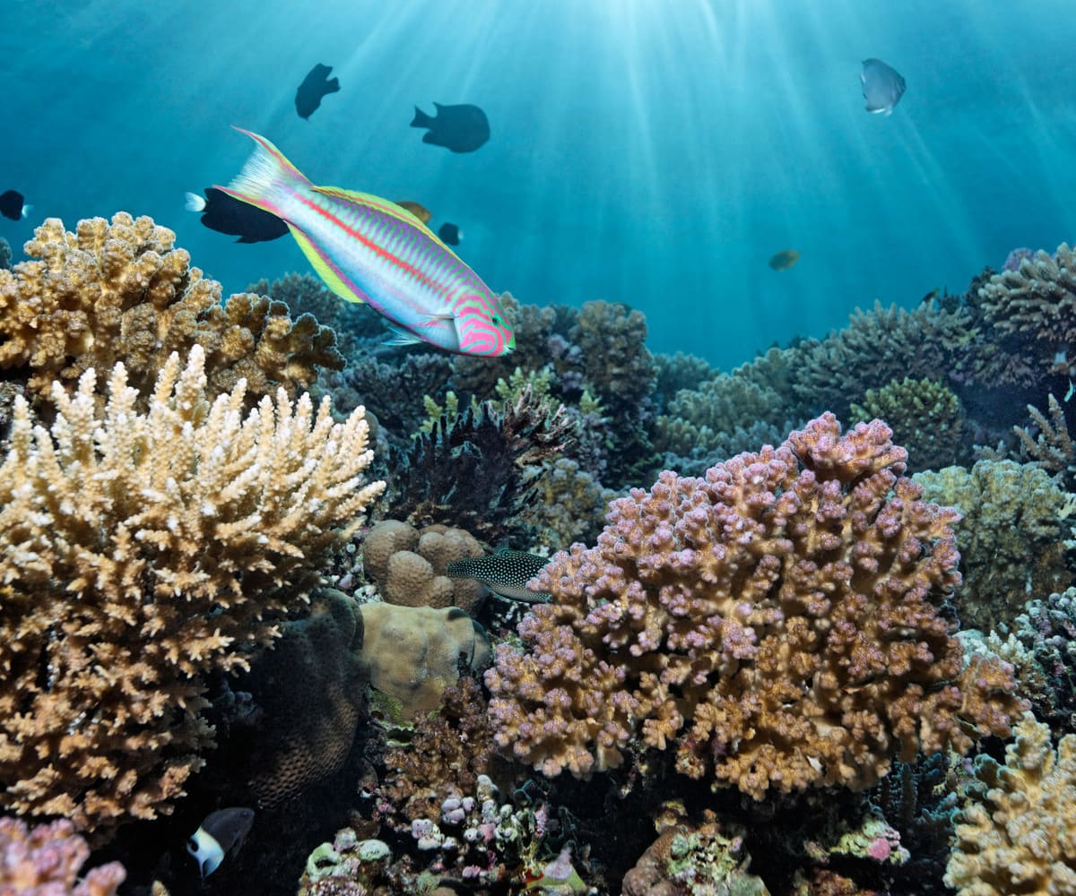 Le tourisme: les enjeux environnementaux