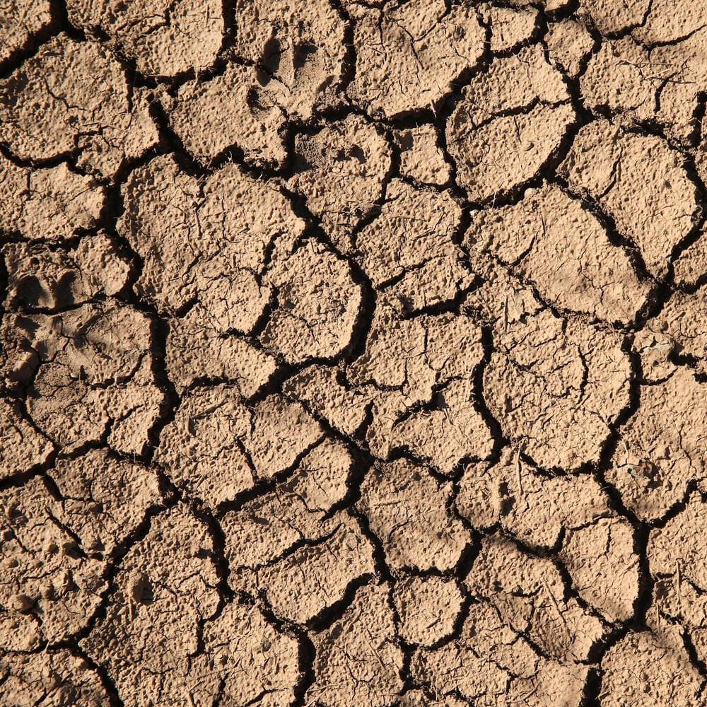 Risques et adaptation